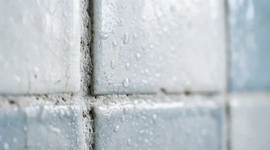Close-up of Victorian-era porous bathroom tiles with water droplets showing surface texture incompatibility for suction devices